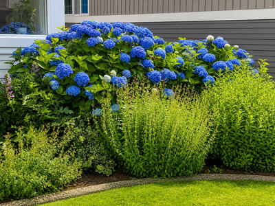 Exterior & Grounds photo