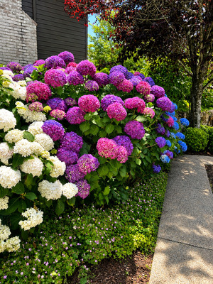 Exterior & Grounds photo